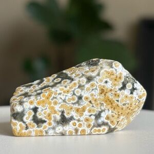 Small Ocean Jasper Crystal Freeform OBJ Orbicular Jasper